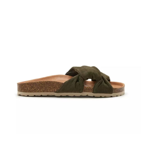 Verbenas Roma kaki