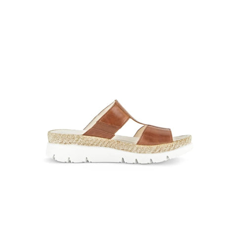 Gabor - Slides - Gabor Mule camel