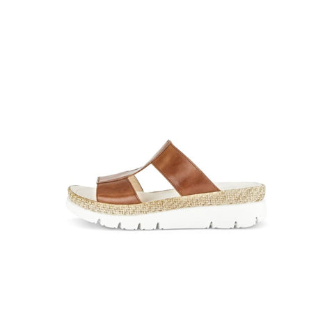 Gabor - Slides - Gabor Mule camel