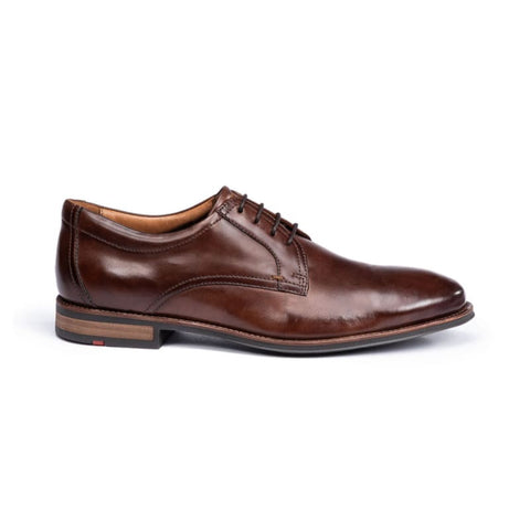 Lloyd - Business-Schuhe - Lloyd Mare darkbrown