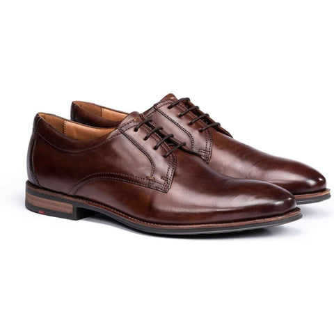 Lloyd - Business-Schuhe - Lloyd Mare darkbrown