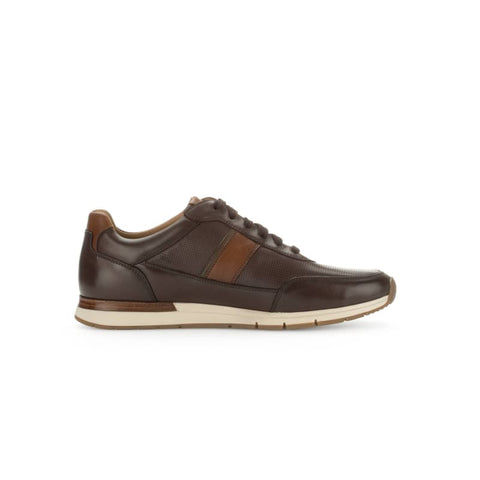 Pius Gabor - Sneakers low - Pius Gabor Sneaker mocca/cognac