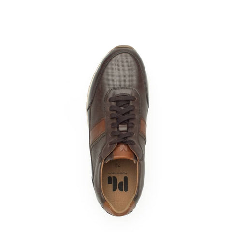 Pius Gabor - Sneakers low - Pius Gabor Sneaker mocca/cognac