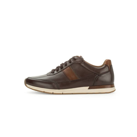 Pius Gabor - Sneakers low - Pius Gabor Sneaker mocca/cognac