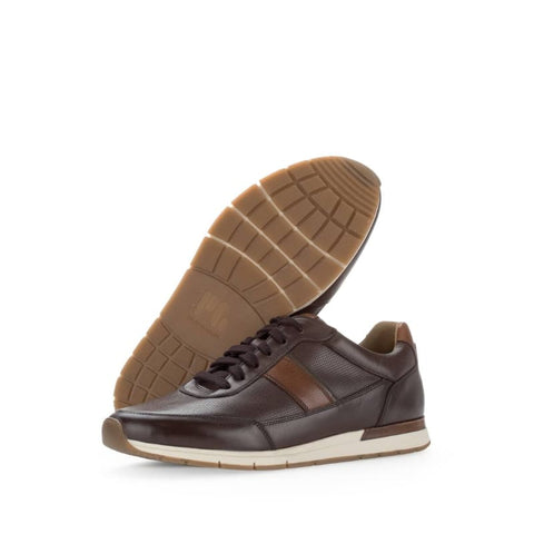 Pius Gabor - Sneakers low - Pius Gabor Sneaker mocca/cognac