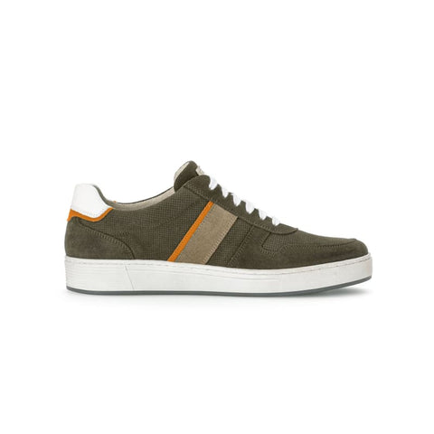 Pius Gabor - Sneakers low - Pius Gabor Sneaker suede/leaf