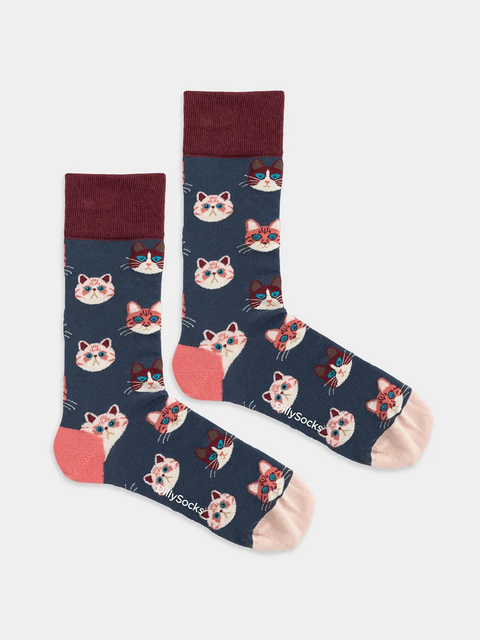 DillySocks Sky Kitten