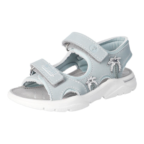 Ricosta Carmi river/ice