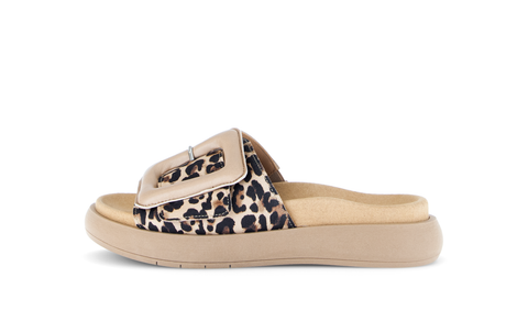 Gabor Pantolette luchs