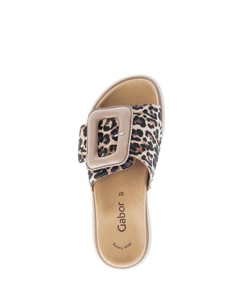 Gabor Pantolette luchs