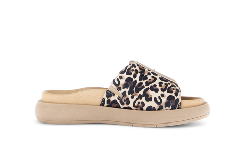 Gabor Pantolette luchs