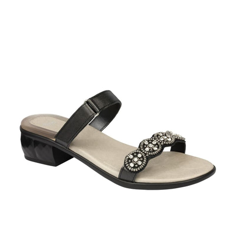 Scholl Euribia