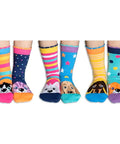 Allpedes - Socken - Allpedes Socken Peek a Boo