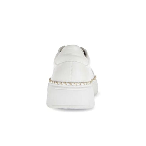 Gabor - Sneakers - Gabor Sneaker latte