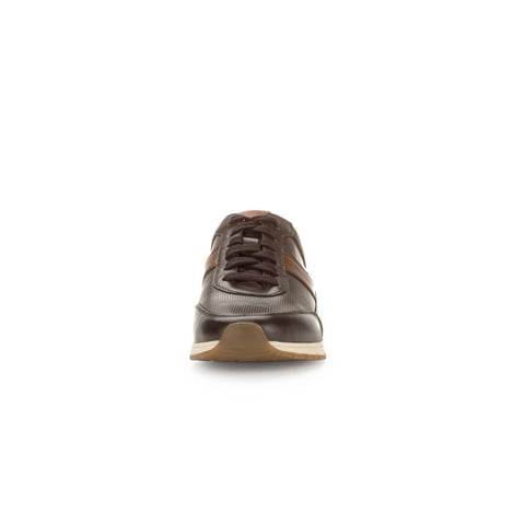 Pius Gabor - Sneakers low - Pius Gabor Sneaker mocca/cognac